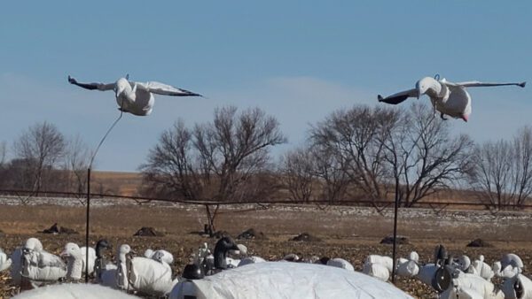 Snow Goose Flyer Decoys - Image 3