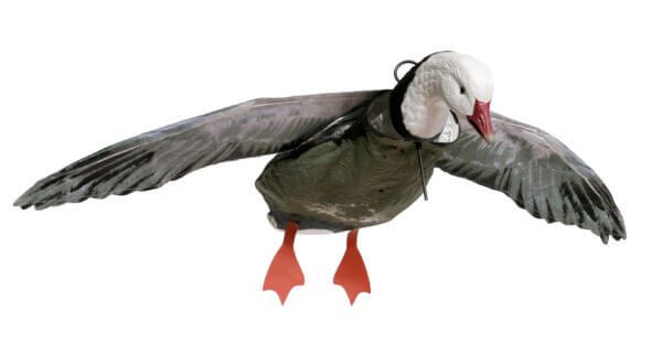 Blue Goose Flyer Decoys