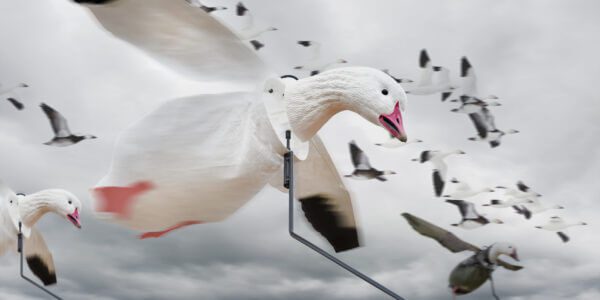 Snow Goose Flyer Decoys - Image 2