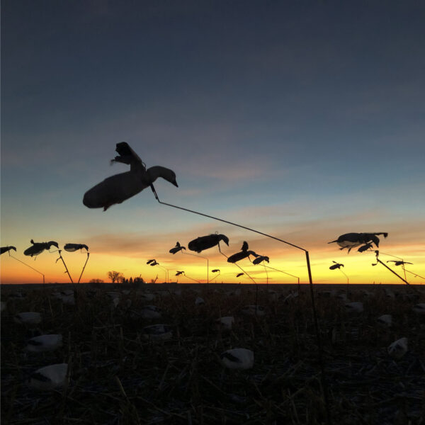 Snow Goose Flyer Decoys - Image 5