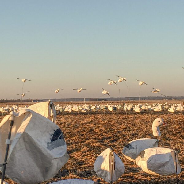 Snow Goose Flyer Decoys - Image 6