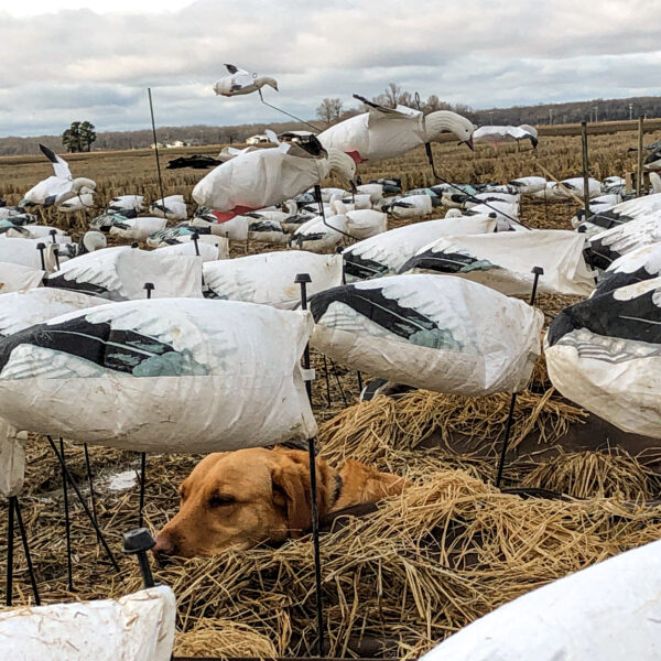 Snow Goose Flyer Decoys - Image 9