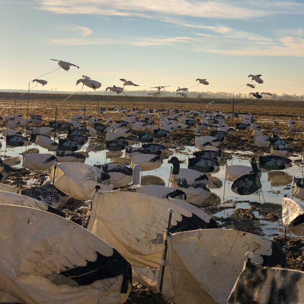 Snow Goose Flyer Decoys - Image 4