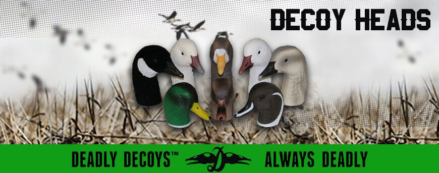 Category Image for Decoy Heads Only