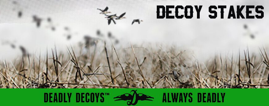 Category Image for Decoy Stakes