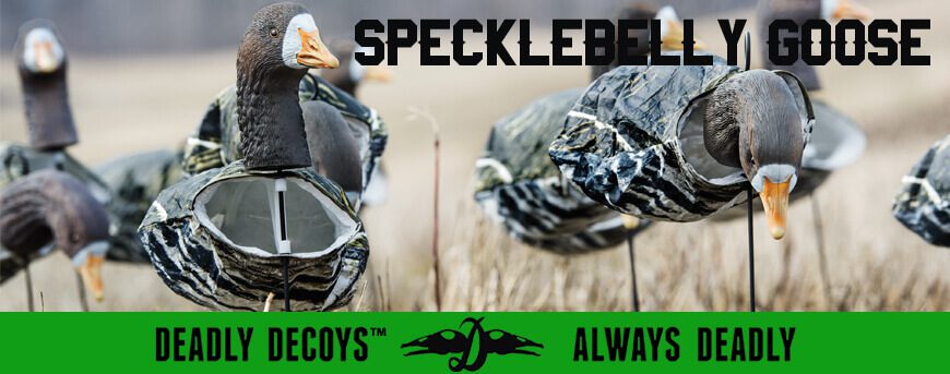 Category Image for Specklebelly Goose Decoys