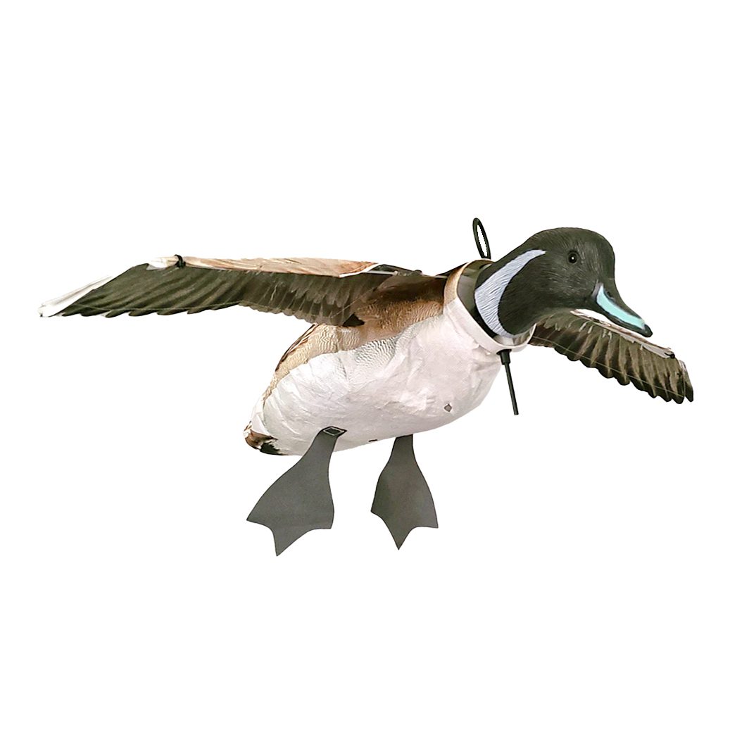 Pintail Flyer Decoy Image