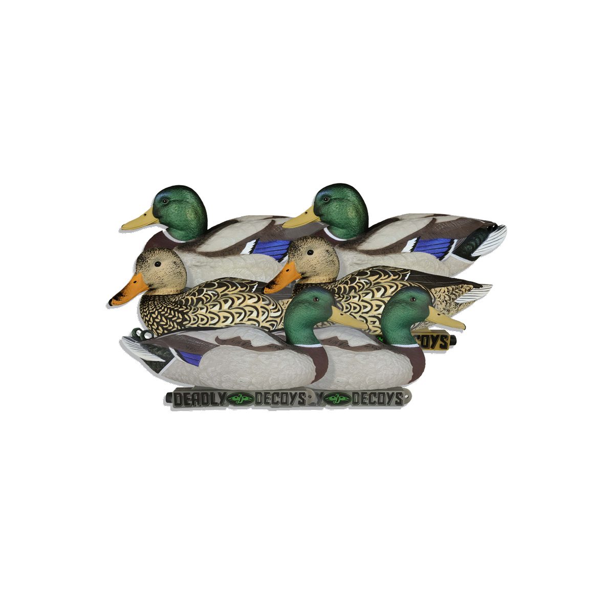 Mallard Floater 6 pak