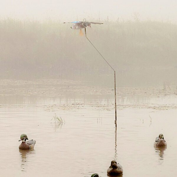 Single wood duck flyer decoy