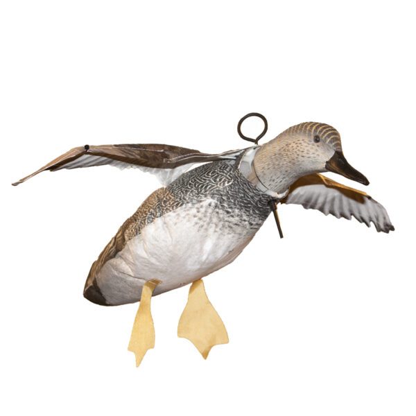 Gadwall Flyer Decoys Single Picture